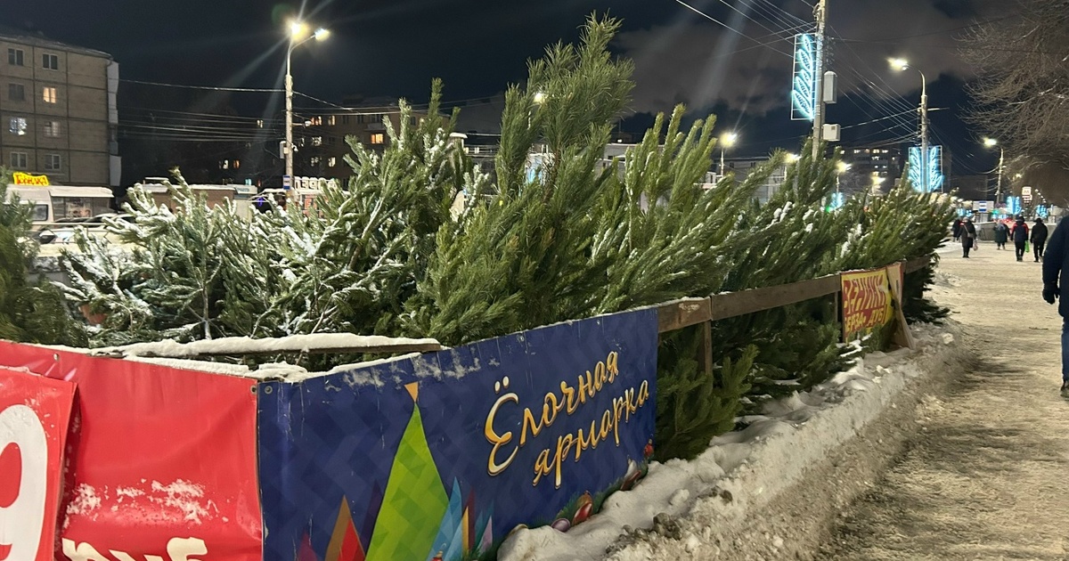 В областной столице работают 140 ёлочных базаров