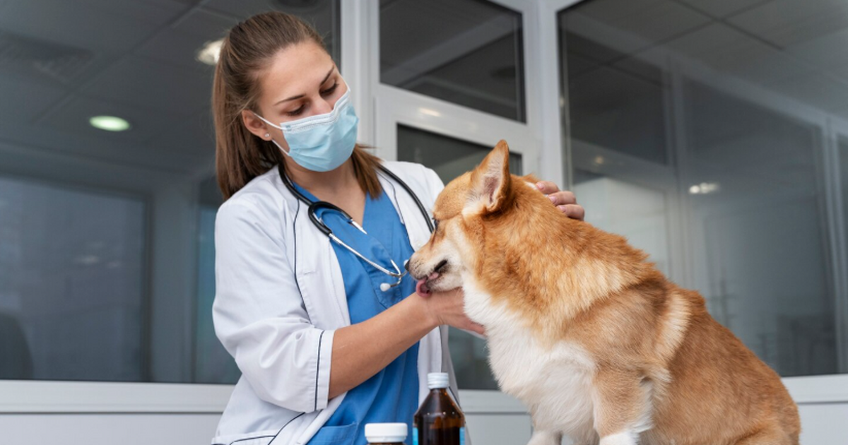 В России среди молодежи вырос интерес к ветерин...