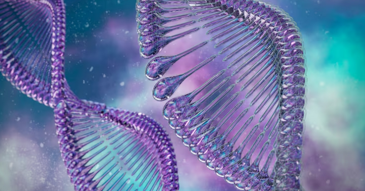 Археологи ИГУ и Цзилиньского университета устан...