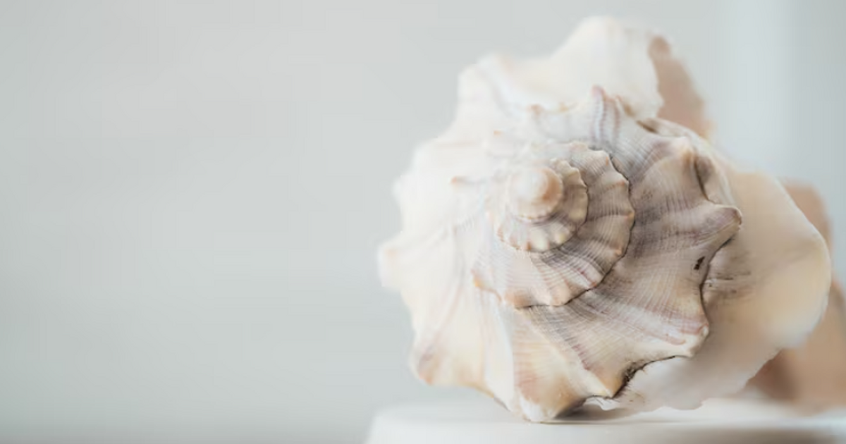 В Испании археологи обнаружили одни из самых ра...