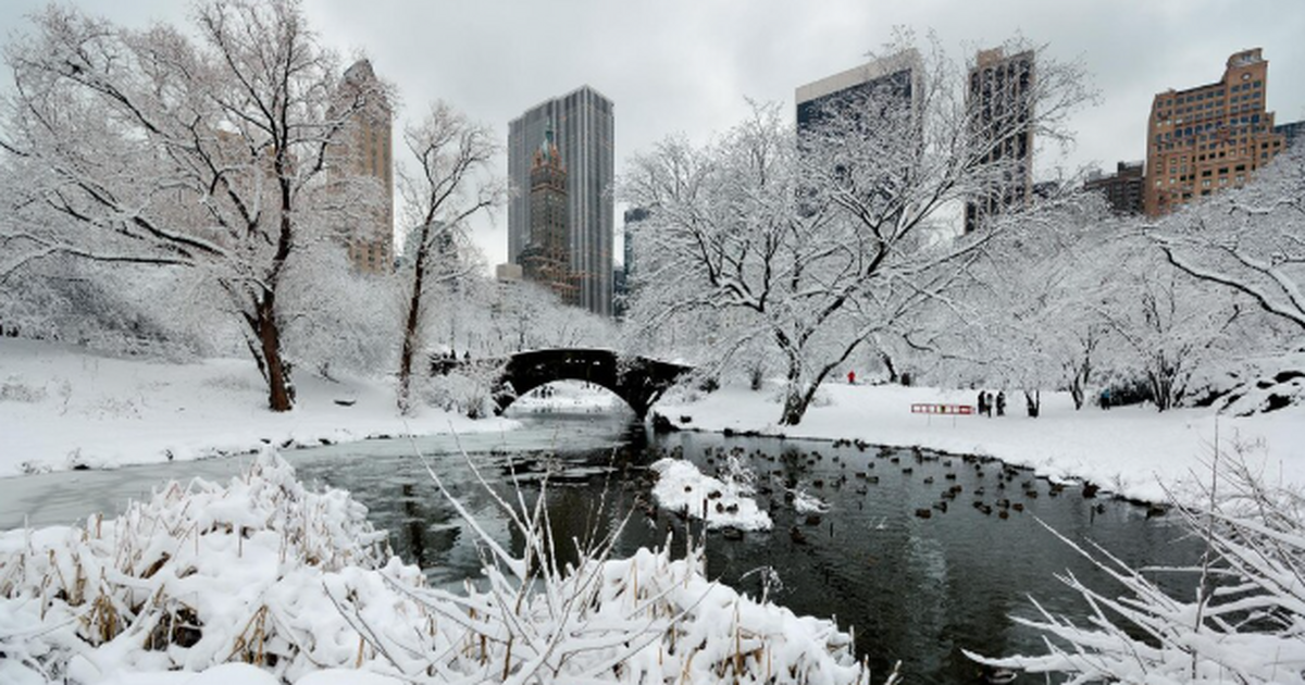 "Предстоящая зима будет безумной": синоптики сделали новый прогноз на декабрь, январь и февраль Синоптики рисуют зимний сезон с сильными аномал...