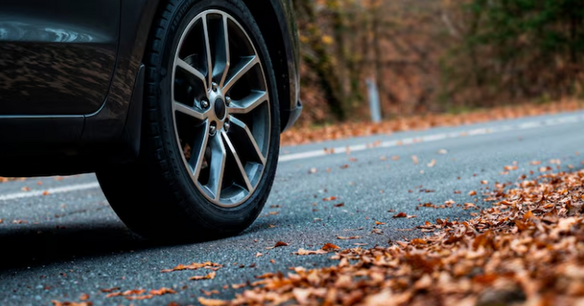 Эксперты выявили два вещества — тополиные почки...