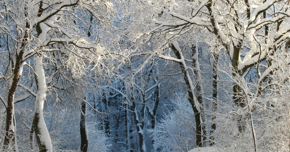 В целом ожидается морозная и снежная погода без...