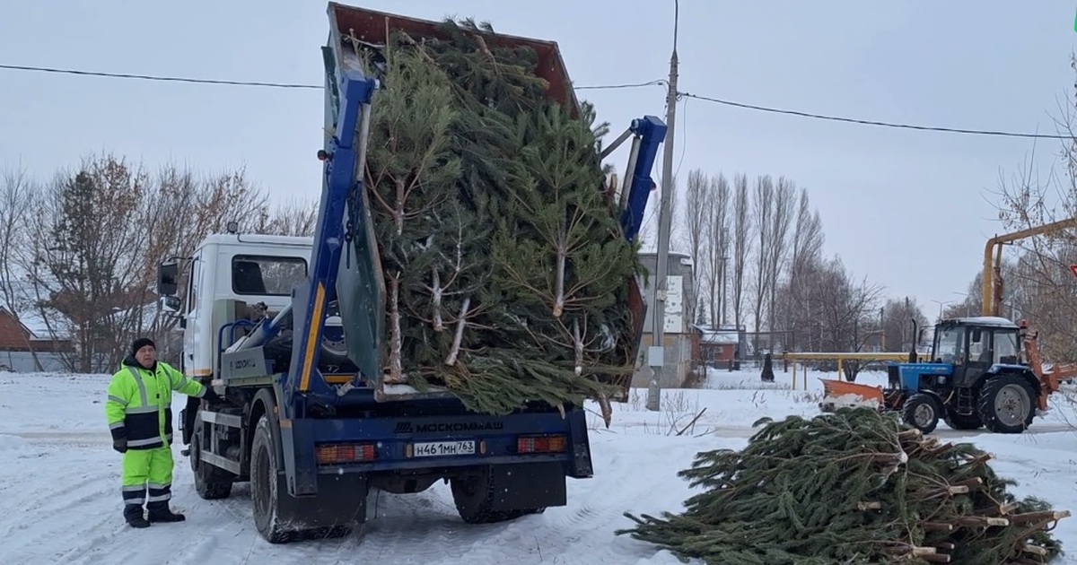 Новогодние ёлки в Самаре получили «вторую жизнь»: переработано 176 кубометров Об этом сообщил регоператор АО "Экология"