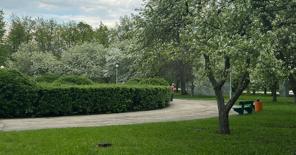 Администрация Самары объявила конкурс на контра...