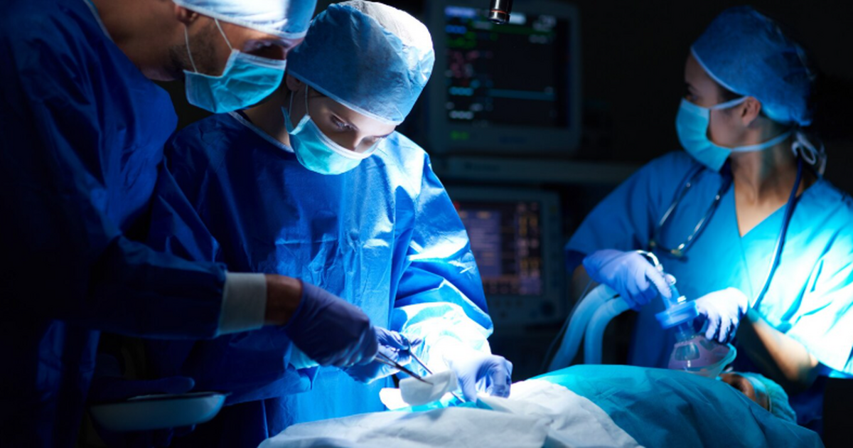 Nature: при отторжении свиной почки участвуют и иммунные клетки донора В реакции отторжения участвуют не только иммунн...