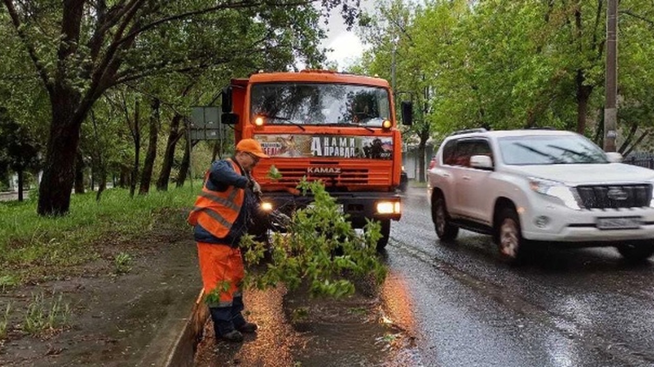 В Самаре 20 мая шквалистым ветром было повалено 34 дерева Об этом Иван Носков сообщил об этом на оператив...