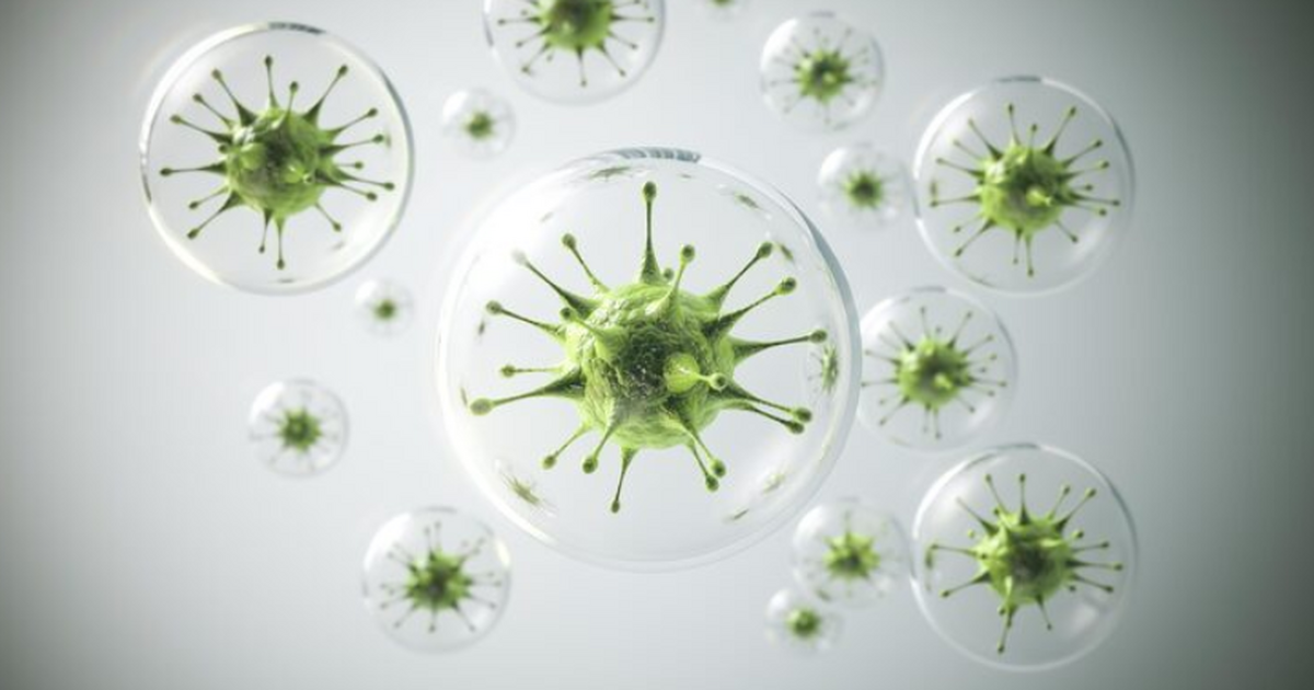 Иммунолог Наталья Калинина заявила, что быстро ...