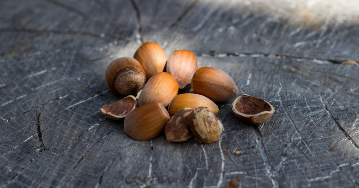 Археологи из Cotswold Archaeology выяснили, что...