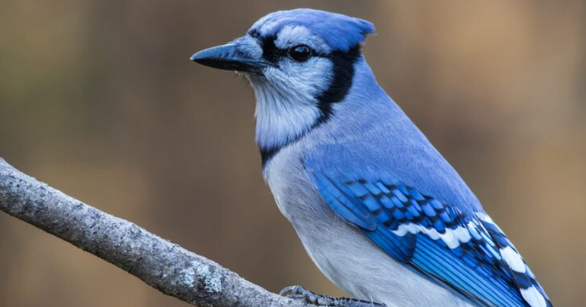 Ученые провели исследование, показавшее, что в ...