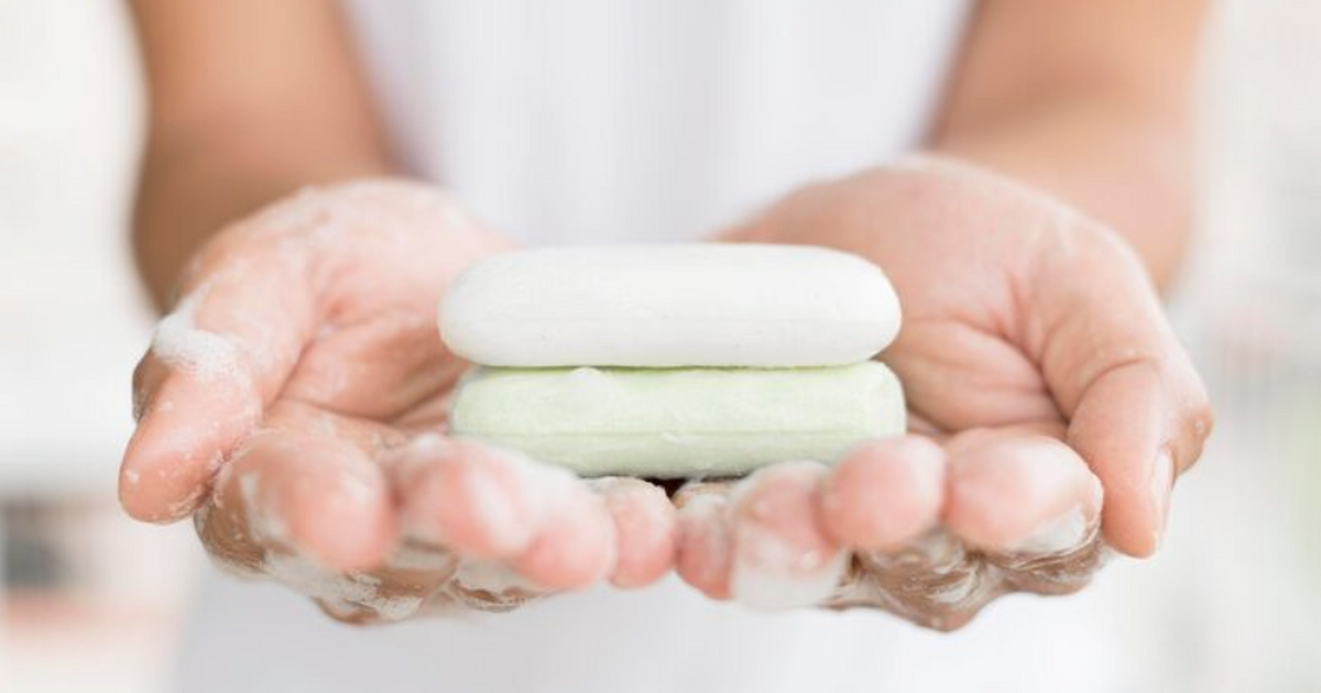 Учёные создали мыло из животного жира и алоэ с ...