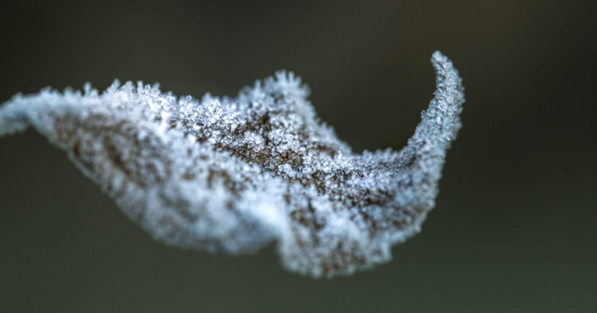 Синоптики дали прогноз на аномальный январь 2026 в Самаре: что ждет людей Январь в Самарской области будет холодным и сне...