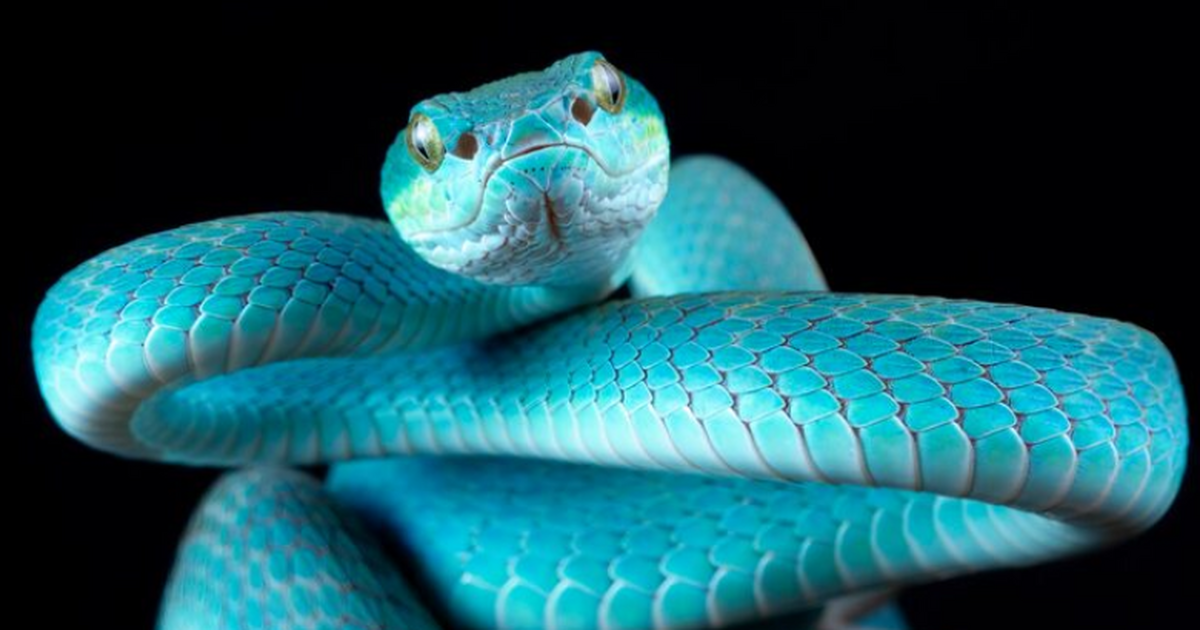 В Хордл‑Клиффе на южном побережье Англии переоп...