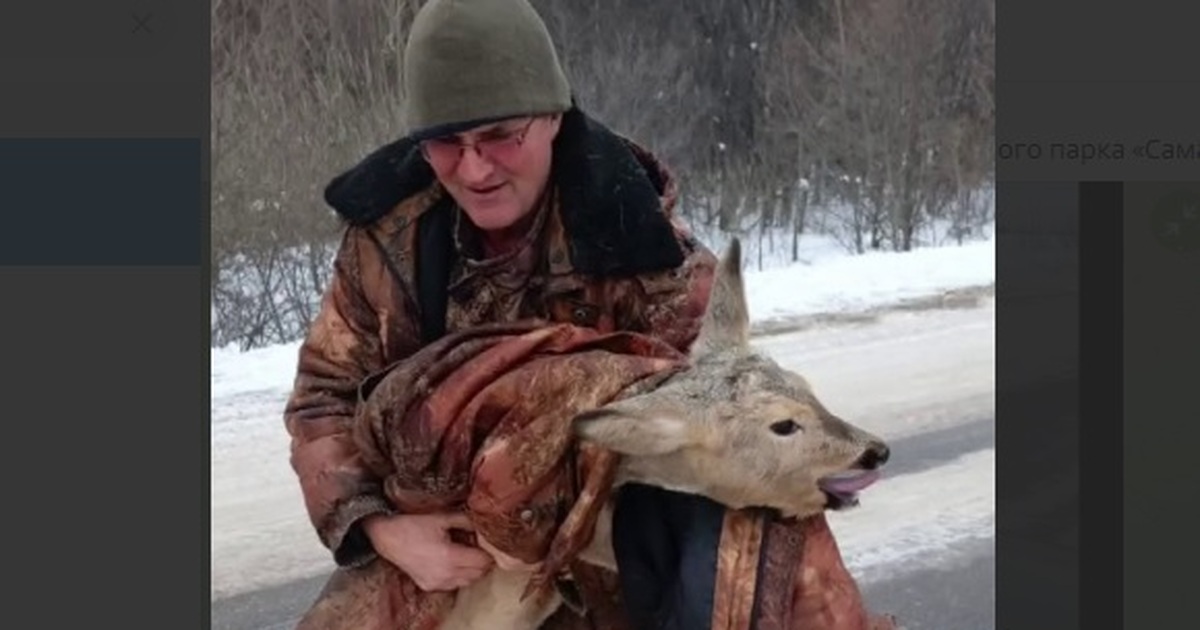 Сотрудники нацпарка "Самарская лука" выходили с...