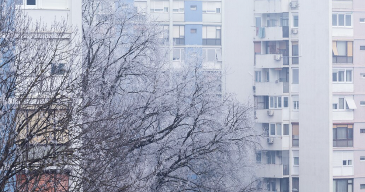 Морозов не будет: Вильфанд развеял прогнозы о х...
