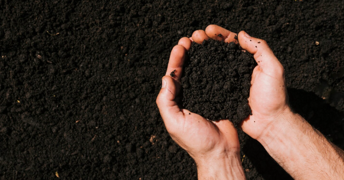 Исследование показало, что гербицид глифосат по...