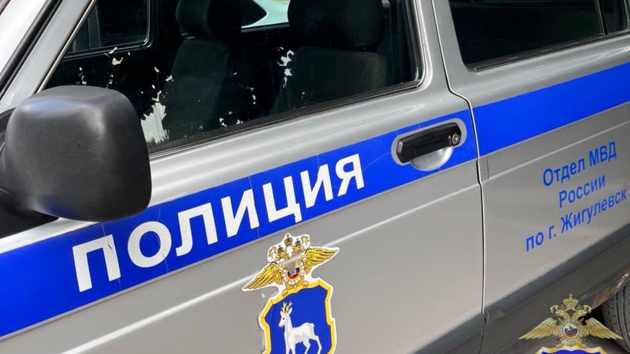 В Жигулевске задержали местного жителя со значительным количеством наркотика Задержанный утверждал, что вещество приобрел то...