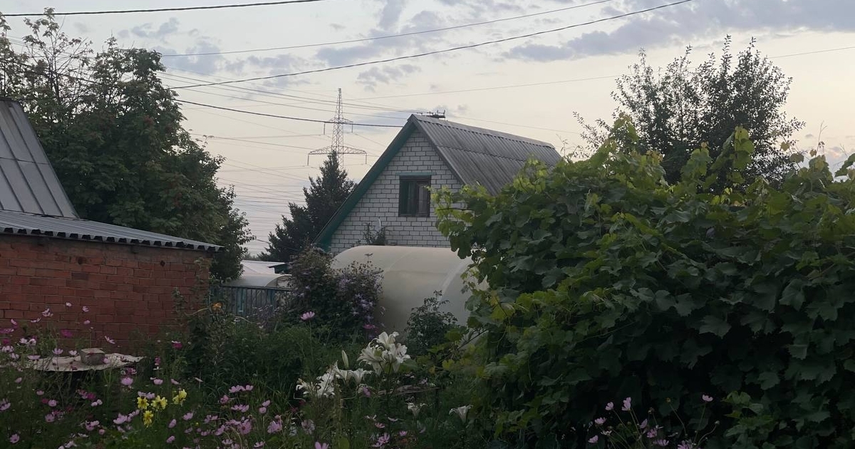 Агроном Суровцев назвал деревья, опасные для посадки рядом с домом Правильный выбор дерева и места его посадки пом...