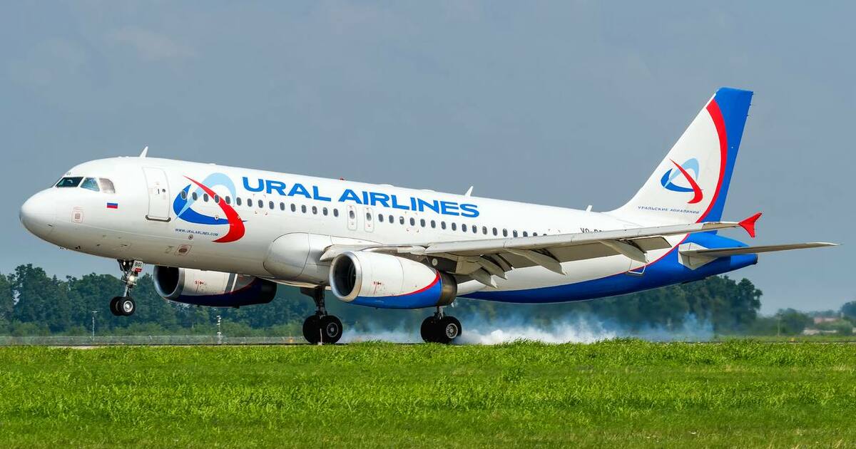 Полеты будут выполняться три раза в неделю