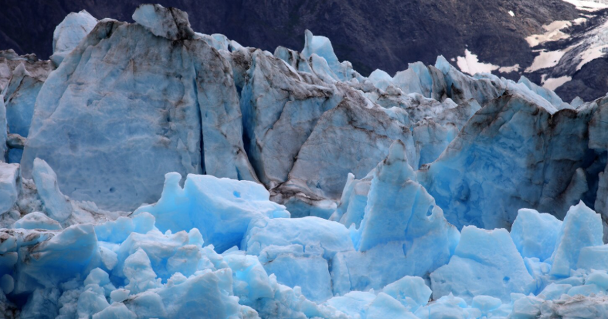 Учёные предупреждают об ускоренном разрушении л...