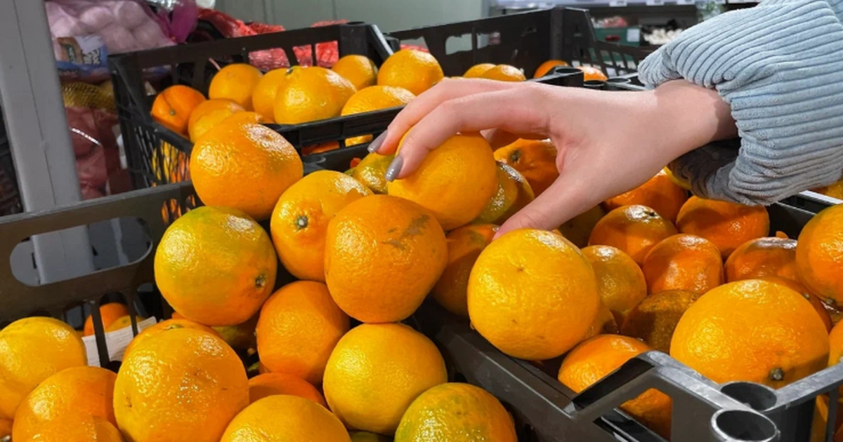 Мандариновую кожуру не выбрасываю, а заливаю молоком — перед Новым годом доволен своей хитростью: гениальный лайфхак хозяек Зачем заливать кожуру мандаринов молоком: новог...