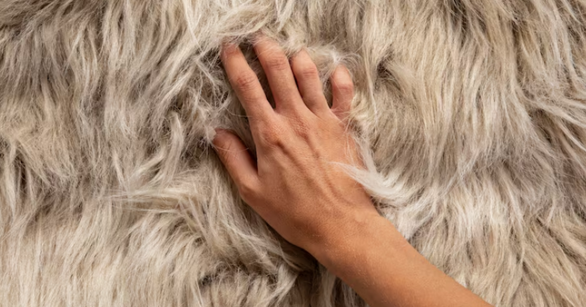 Археологи обнаружили в Орегоне фрагмент сшитой ...