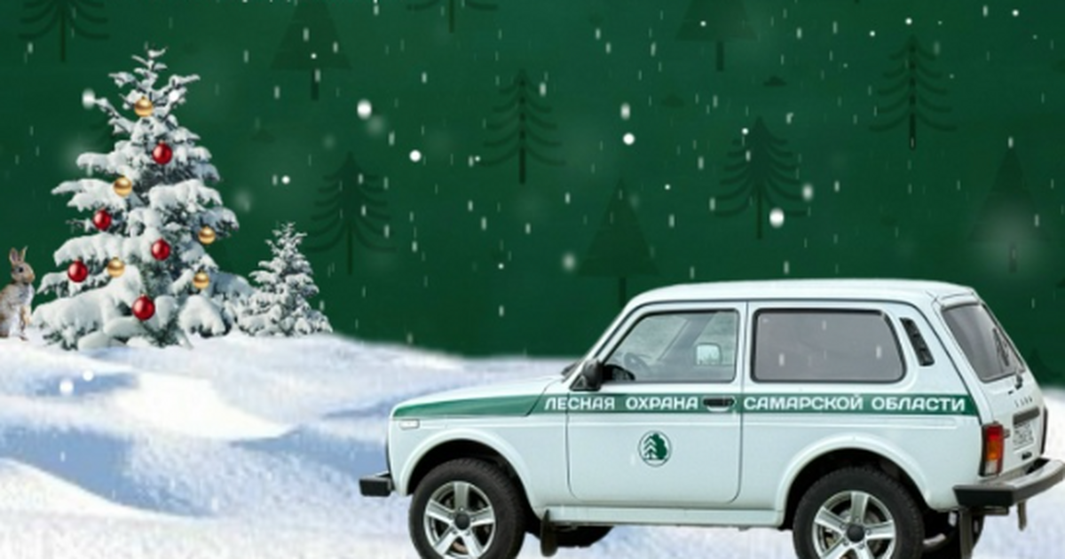 С 1 декабря лесоохрана и полиция работают в уси...