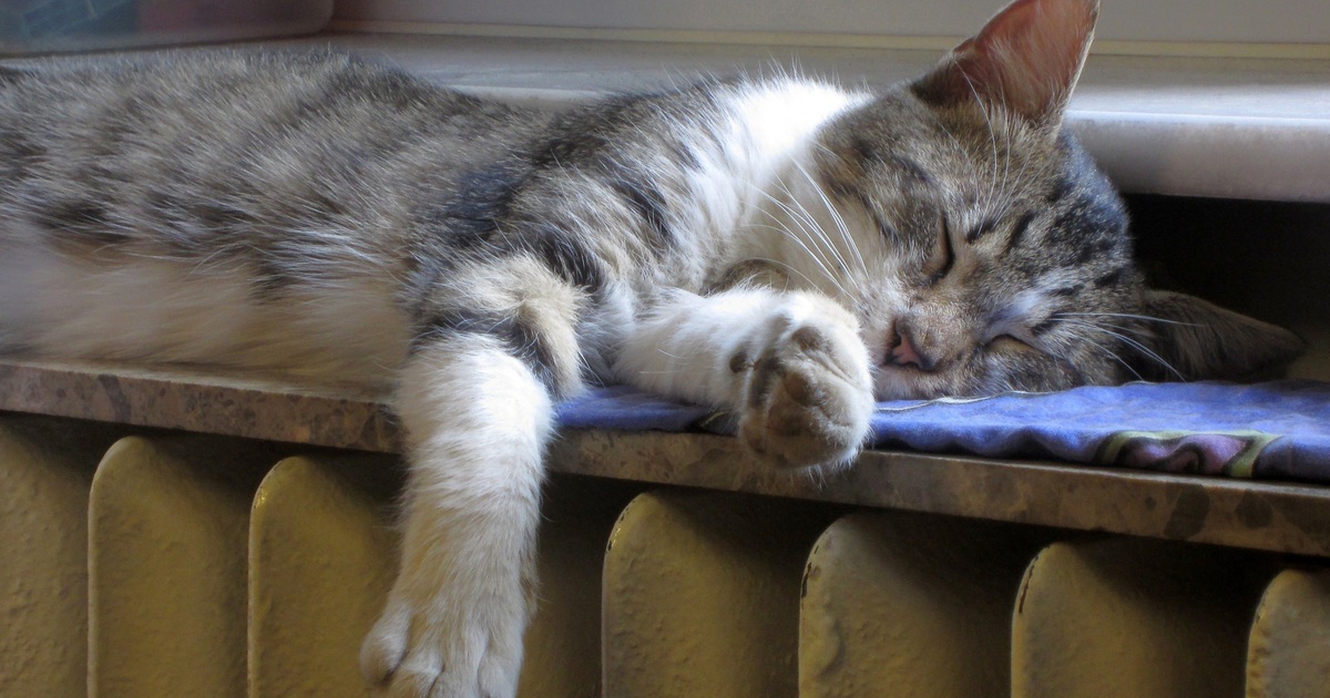 Отопление продолжат подавать до установления ус...