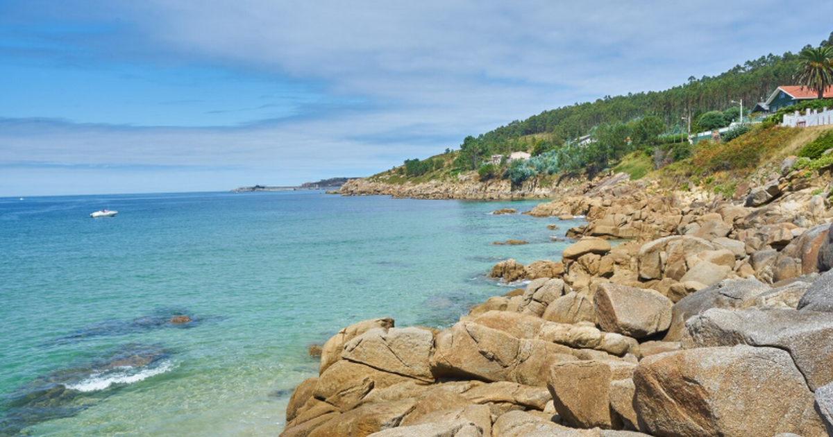 Учёные Дальневосточного федерального университе...