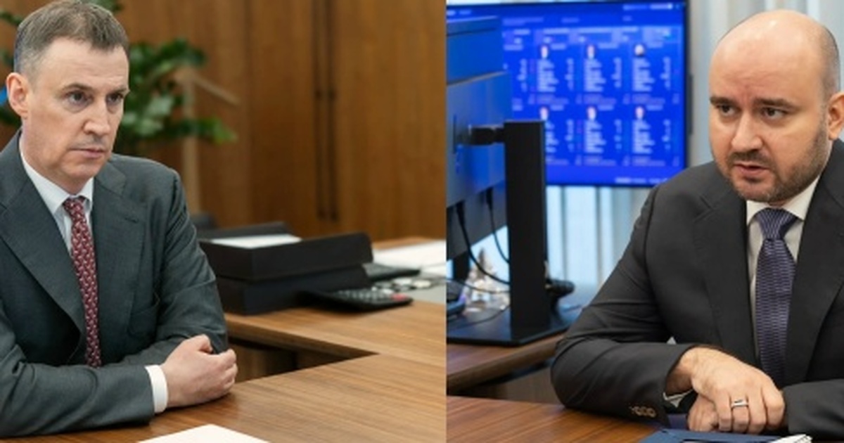 Самарская область вошла в число лидеров по лесо...