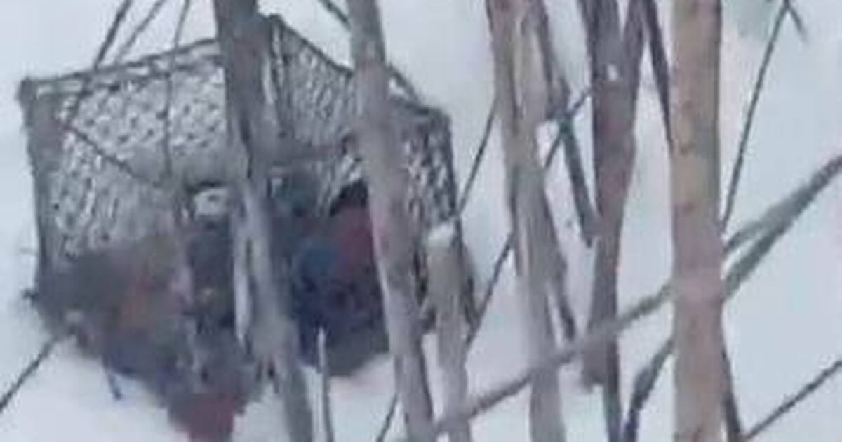 Возбуждено административное производство