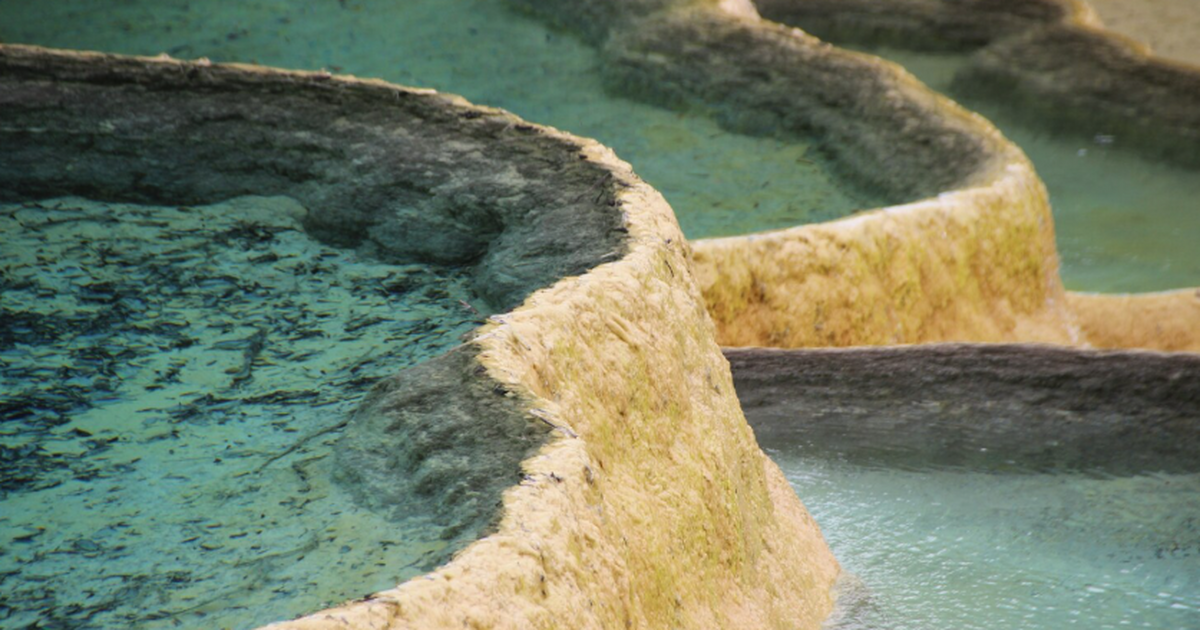 Исследователи проанализировали состояние воды в...