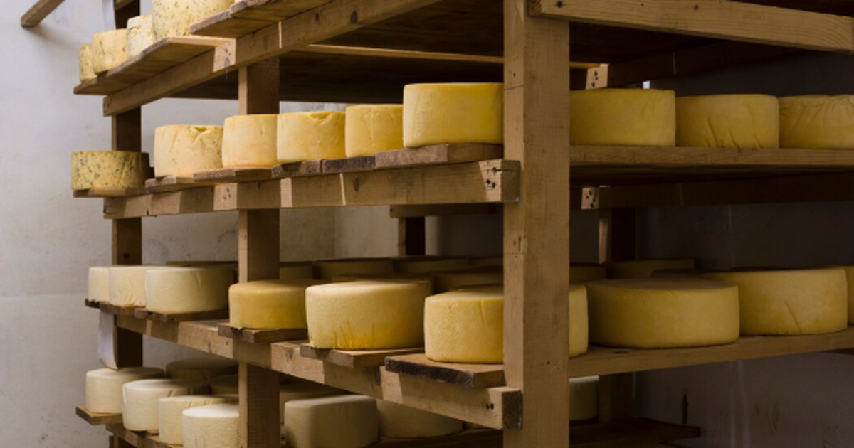 Никогда не покупаю расфасованный сыр - и другим не советую: названа главная причина Готовые порции сыра с логотипом супермаркета — ...