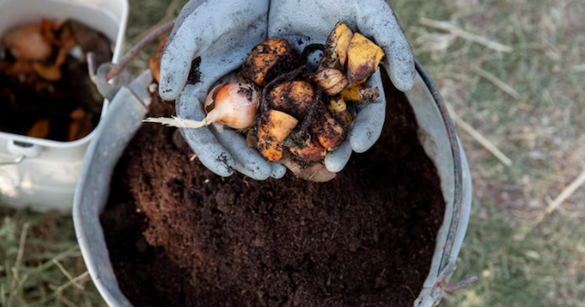 Дорогие удобрения больше не покупаю: готовлю в октябре бесплатный «навоз» из листьев - 15 минут и все Не тащи мешки листьев к контейнеру. Это не мусо...