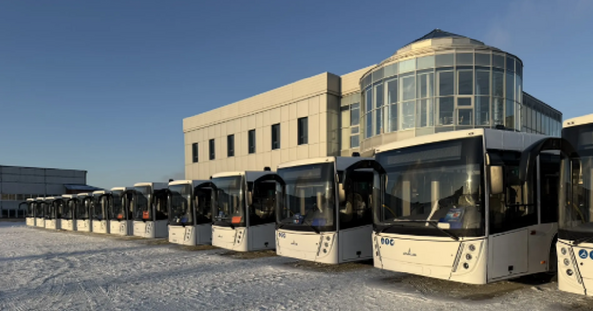 Всего в город в 2025 году поступило 43 автобуса