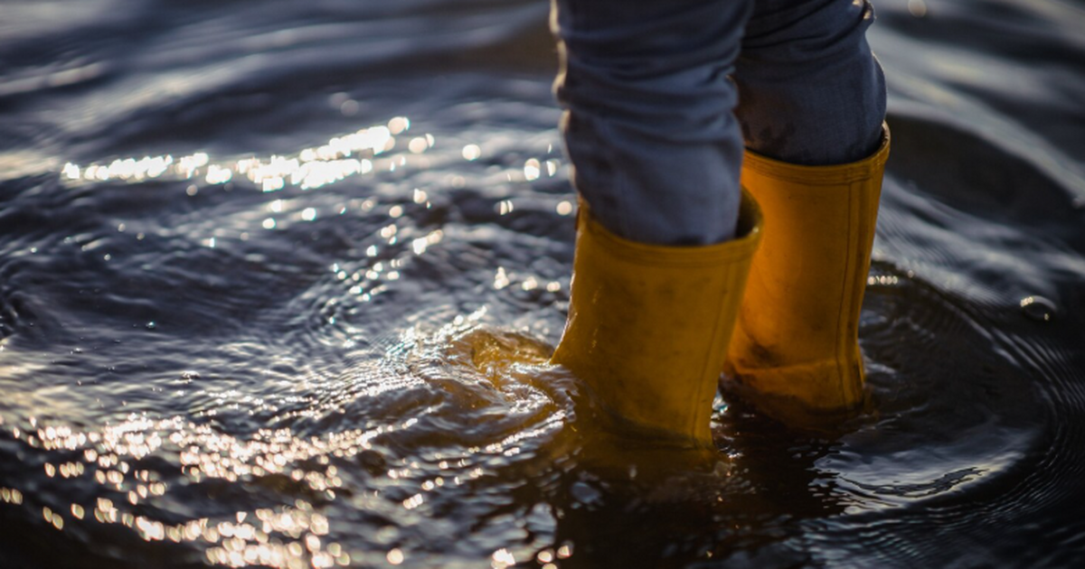 Сергей Вознесенский предупреждает, что талые во...