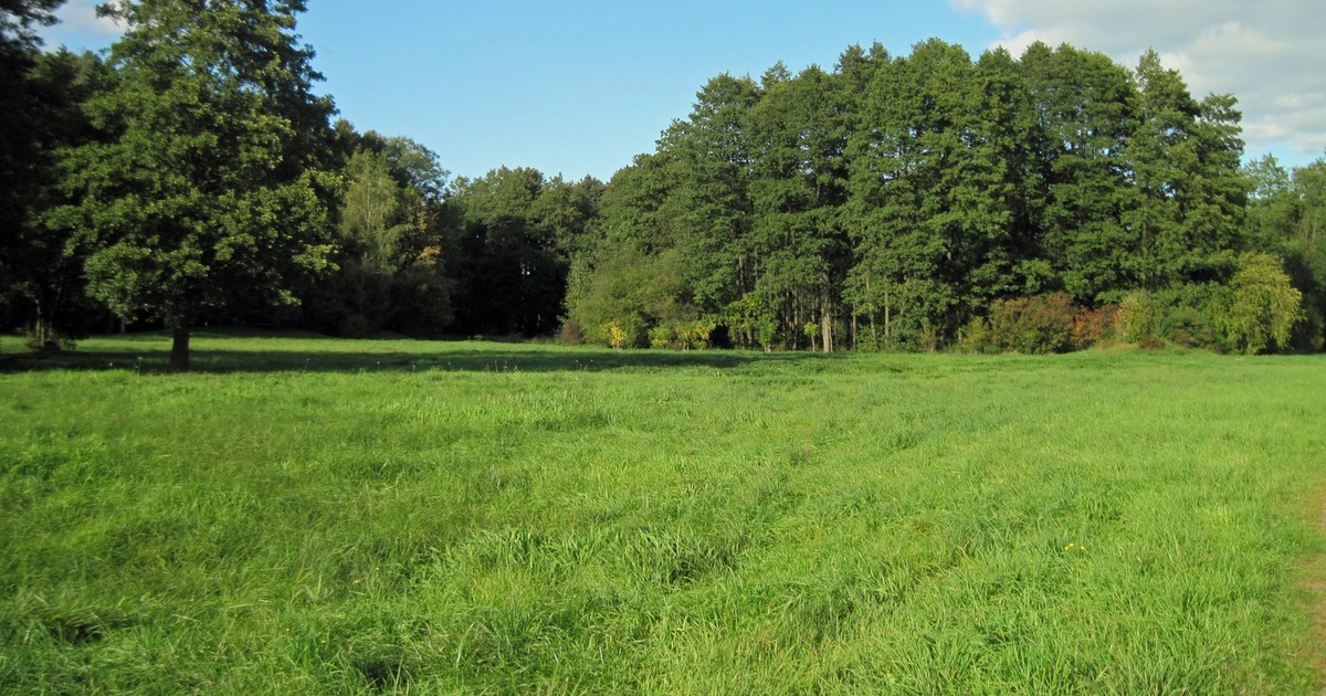 Незаконно присвоенная земля возвращена в госсоб...