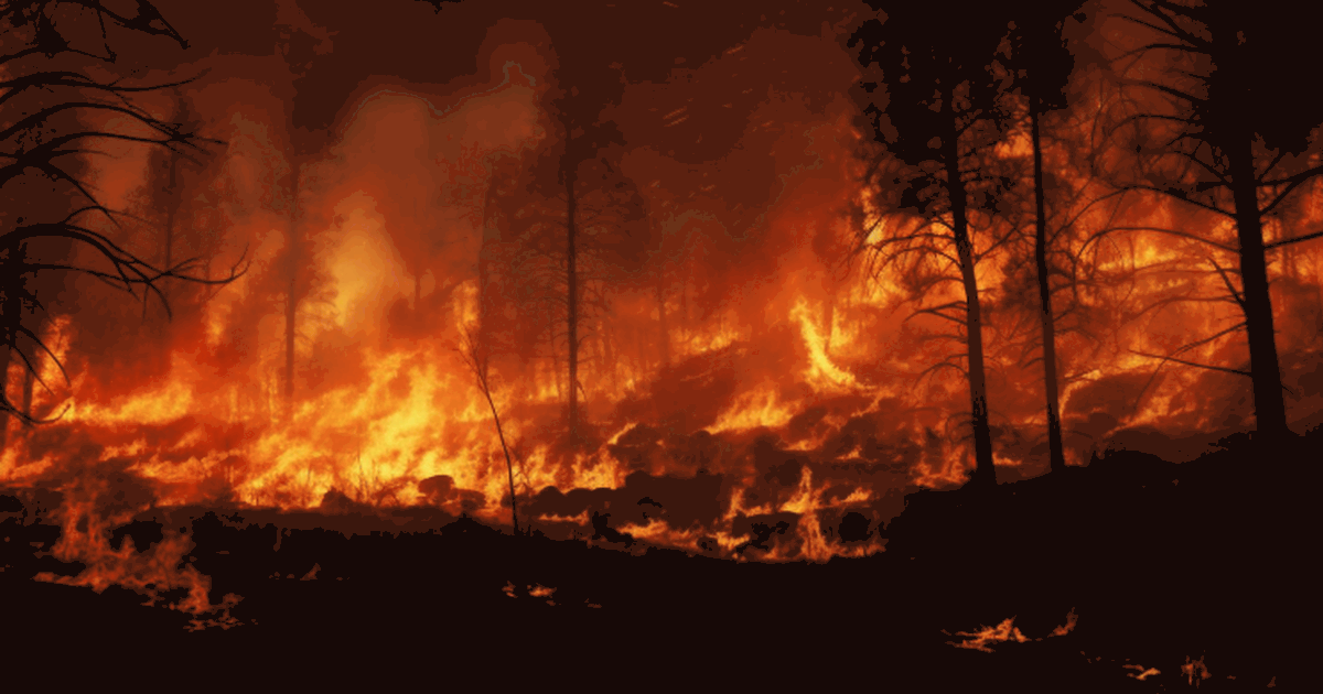 Учёные обнаружили следы древних лесных пожаров ...