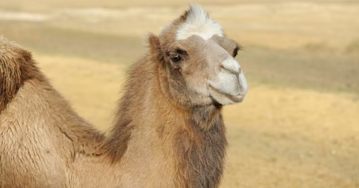 Учёные заявили об открытии ранее неизвестного д...