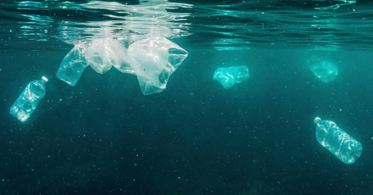 Ряд публикаций о присутствии микропластика в мо...