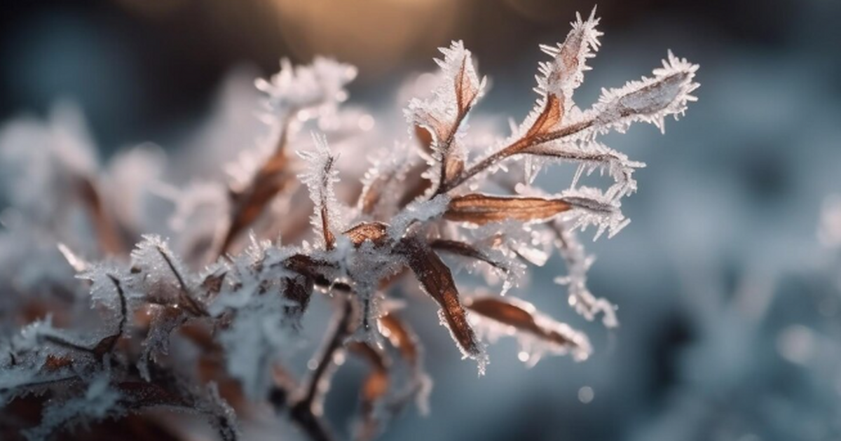 Мороз ворвется без стука: Вильфанд изменил прогноз на ноябрь — Россию ждет арктическое вторжение Научный руководитель Гидрометцентра Роман Вильф...