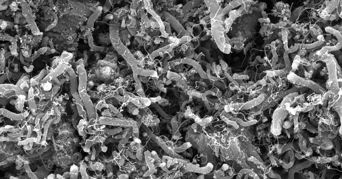 Денис Васин получил грант "Студенческий стартап"