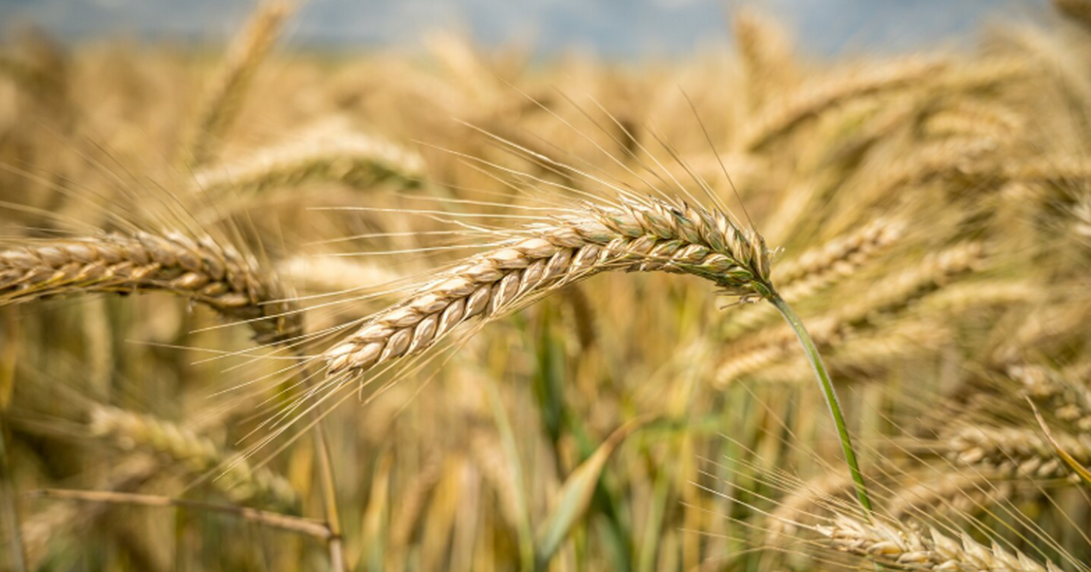 Учёные из Китая создали комплексную систему «по...