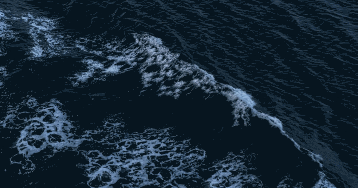 Палеонтологи нашли в Китае окаменелости кольчат...