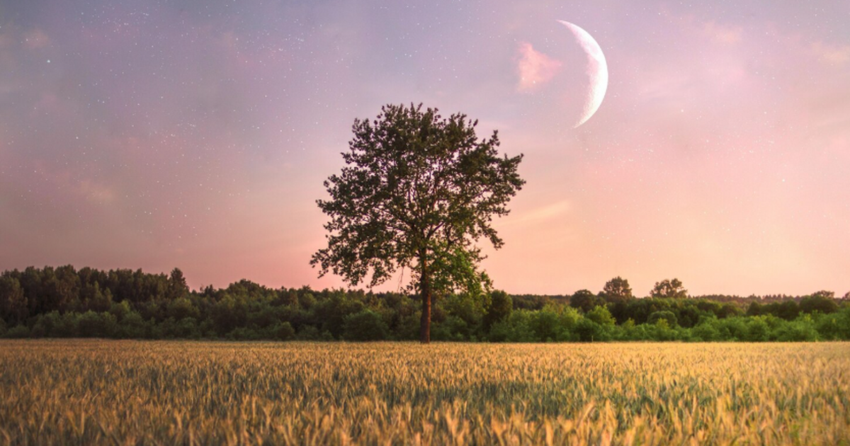 Сутки в полтора месяца: учёный РАН спрогнозировал будущее Земли В далёком будущем продолжительность земных суто...