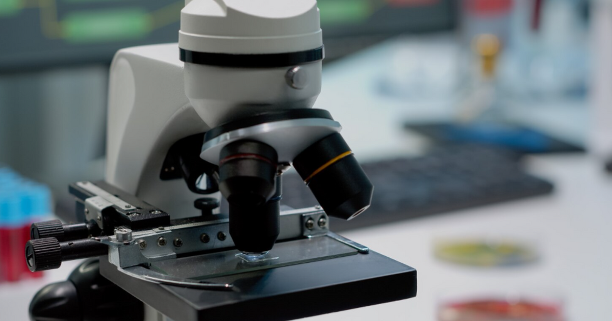 Учёные из РФ уточнили «градусник плазмы» для токамаков и ИТЭР Управляемый термоядерный синтез требует точного...