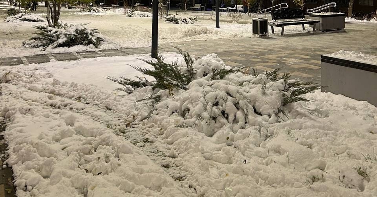 В Самару возвращается зима: метель и снег ожидаются 14 декабря В Самарской области к середине декабря ожидаетс...