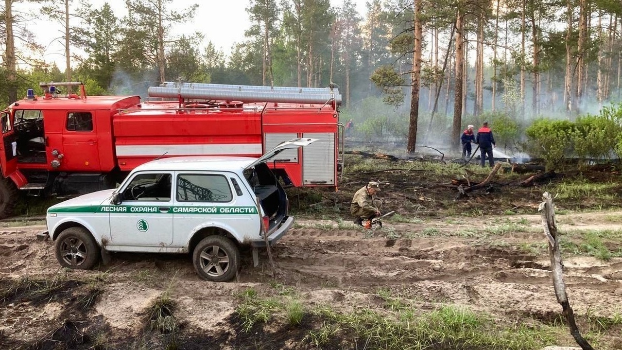 В Самарской области 6 мая ликвидирован крупный пожар в Рачейском лесничестве Огнем было охвачено 0,5 гектаров леса