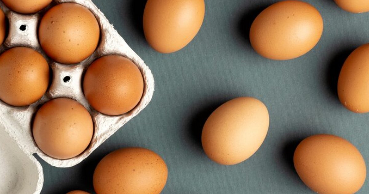 Врач Белоусова: в яйцах есть все незаменимые аминокислоты Врач Белоусова рассказала, что яйца содержат вс...