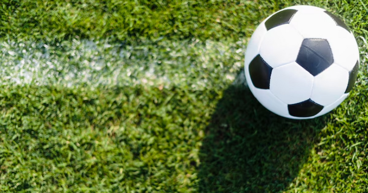 РФС: матч с Аргентиной не состоится из‑за «неадекватных» запросов Сборная России не сыграет в ноябре с Аргентиной...